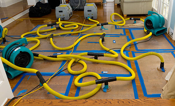 Professional Water Extraction technician working in Edgewood, OH